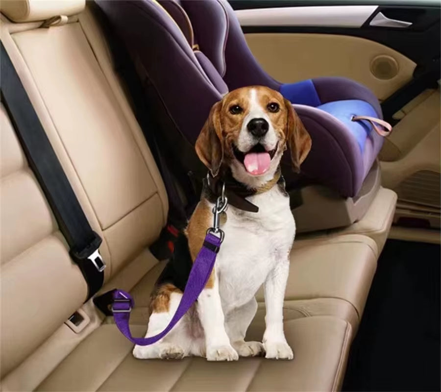 1Pc Pet Cat Dog Car Seat Belt Suitable for Universal Safety Buckle Adjustable Safety Rope Dog Car Seat Belts Dog Accessoires